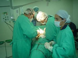 Imagen donacion-cedulas-madres