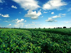 Imagen ley-arrendamiento