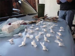 Imagen procesamiento-tenencia-cocaina