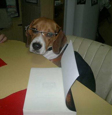 Foto de agustin piscu