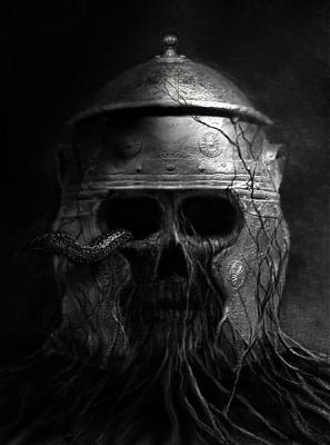 Foto de macellusavage