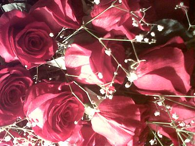 Foto de Malvina Beln