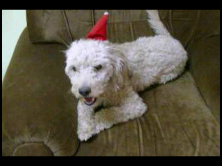 Foto de Marisa Fern�ndez