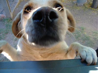 Foto de Vicky Alvarez